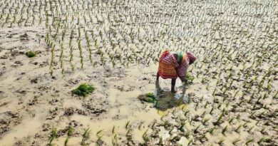 महाराष्ट्र कृषि-इनपुट सेक्टर ने ‘इंस्पेक्टर राज’ के विरोध में 27 अप्रैल बंद का ऐलान किया