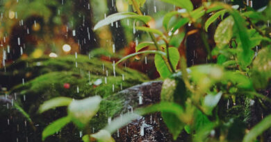 देश के कई हिस्सों में मौसम सक्रिय: 7 अप्रैल तक कश्मीर घाटी, मध्य प्रदेश और महाराष्ट्र में ओलावृष्टि, तेज हवाओं और बारिश का अलर्ट