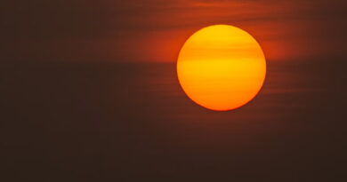 IMD अलर्ट: उत्तर-पश्चिमी भारत में गर्मी चरम पर, अगले 3 दिनों के लिए हीटवेव की चेतावनी; पूर्वोत्तर में भारी वर्षा की संभावना