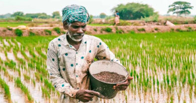 पांढुर्ना में ई-विकास प्रणाली पर एक दिवसीय प्रशिक्षण संपन्न  