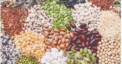 राजस्थान में कृषि विभाग की बड़ी कार्रवाई, अमानक बीज-उर्वरक पाए जाने पर 85 फर्मों को भेजा नोटिस  