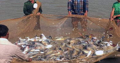 संघर्ष से सफलता तक: 12वीं पास युवक बना सफल मत्स्य पालक, अब कमा रहा सालाना 20 लाख, 21 लोगों को दिया रोजगार  