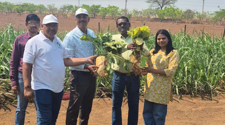 रायपुर : रायगढ़ का ‘केलो’ जंवाफूल चावल बना ब्रांड, देशभर में बढ़ी मांग; बेंगलुरु से कारगिल तक पहुंची खुशबू