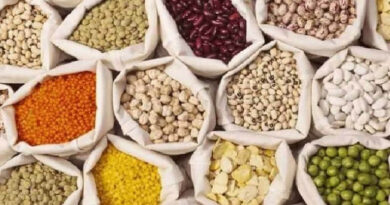 मध्यप्रदेश: घटिया बीज बिक्री पर बड़वानी जिले के नर्मदा कृषि सेवा केन्द्र का लाइसेंस निलंबित