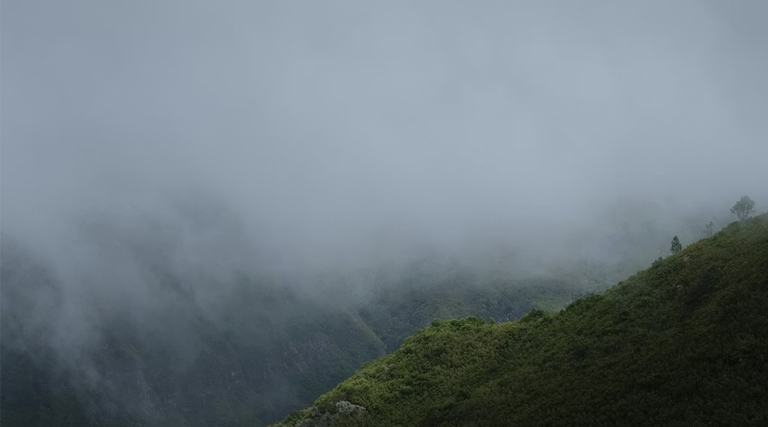 मध्यप्रदेश: सीधी में मौसम स्टेशन चालू, किसानों को अब फसल की सुरक्षा के लिए मिलेगी सटीक जानकारी