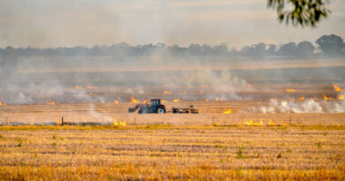 नर्मदापुरम जिले में नरवाई जलाने की 2090 घटनाएं सामने आई