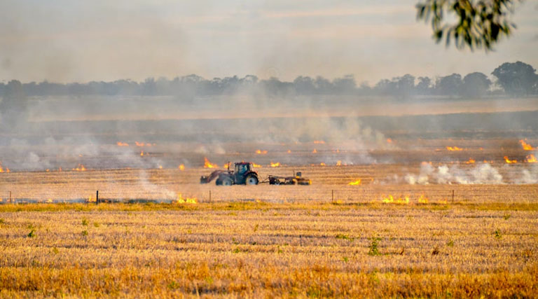 नर्मदापुरम जिले में नरवाई जलाने की 2090 घटनाएं सामने आई