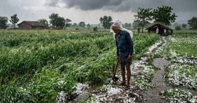 मध्यप्रदेश: ग्वालियर-चंबल में बारिश के साथ गिरे ओले, कलेक्टर ने अधिकारियों को तत्काल निरीक्षण और सतत निगरानी के दिए निर्देश