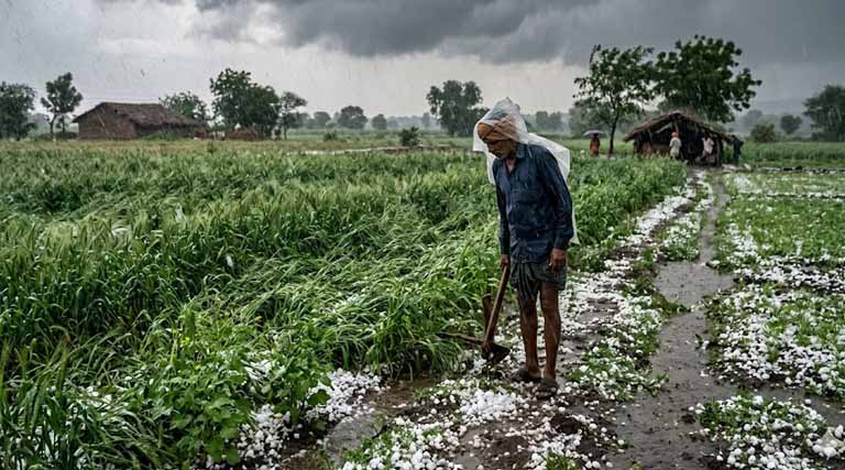 मध्यप्रदेश: ग्वालियर-चंबल में बारिश के साथ गिरे ओले, कलेक्टर ने अधिकारियों को तत्काल निरीक्षण और सतत निगरानी के दिए निर्देश