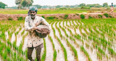 मध्यप्रदेश: सतना में उर्वरक वितरण में अनियमितता पर दो विक्रेताओं के लाइसेंस निलंबित    