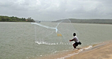 लाखों मछुआरों और मत्स्य किसानों की आय में सुधार हुआ