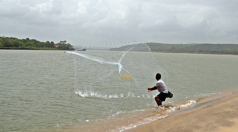 लाखों मछुआरों और मत्स्य किसानों की आय में सुधार हुआ