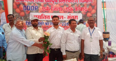 जाम सांवली में हनुमान लोक परियोजना के प्रथम चरण का लोकार्पण