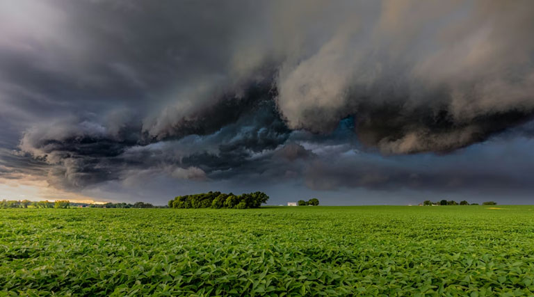Mp Weather Update: छिंदवाड़ा-सिवनी-पांढुर्ना में ऑरेंज अलर्ट जारी, 40-50 किमी/घंटा की रफ्तार से चलेंगी झोकेदार हवाएं 