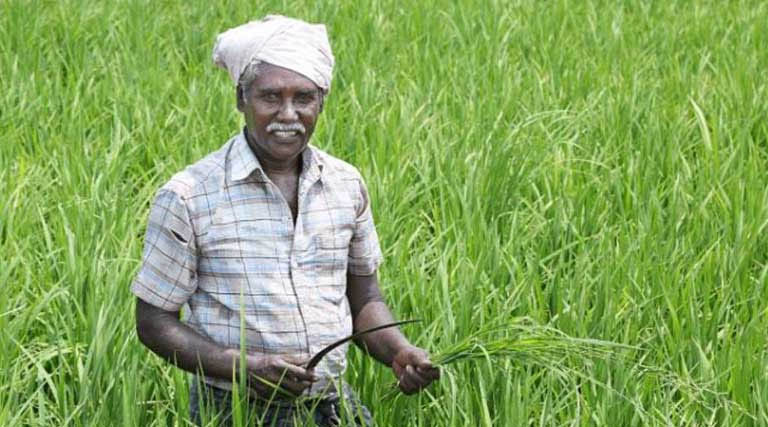 जालोर में जलवायु मित्र अभियान शुरू: मिट्टी सुधार और जैविक खेती के लिए किसानों को दिया जाएगा प्रशिक्षण