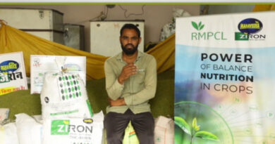 महावीरा जिरोन से मूंग का बेहतर उत्पादन मिला