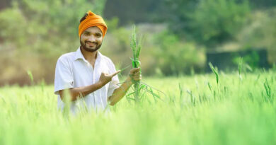 रायपुर: चालू रबी सीजन में 18.60 लाख हेक्टेयर में हुई फसल बोनी, किसानों को 1026 करोड़ का ऋण वितरित  