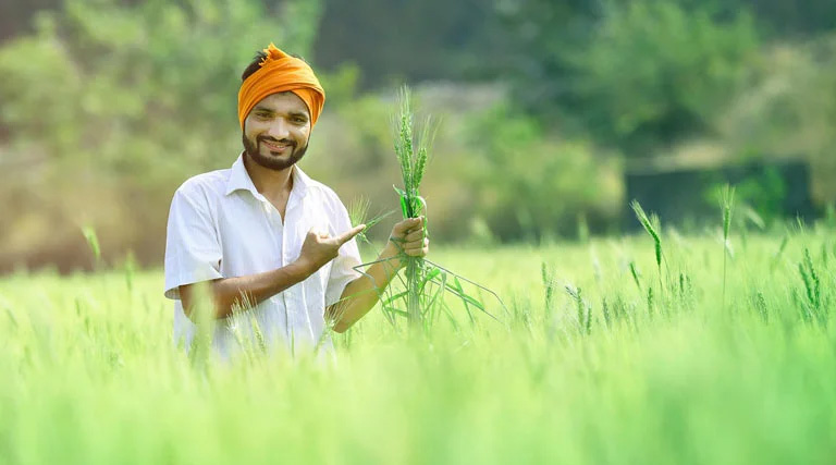 रायपुर: चालू रबी सीजन में 18.60 लाख हेक्टेयर में हुई फसल बोनी, किसानों को 1026 करोड़ का ऋण वितरित  