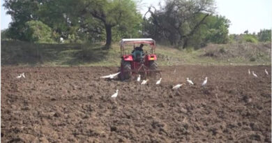 विशेषज्ञों की सलाह: गर्मी में गहरी जुताई से बढ़ेगी मिट्टी की उर्वरता और नमी, कीट-रोग नियंत्रण में भी मिलेगा फायदा  