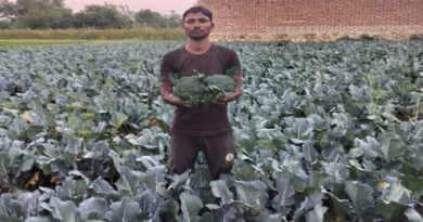 आधुनिक खेती से कमाल: ग्वालियर के किसान ने ब्रोकली उगाकर की 2.5 लाख तक की तगड़ी कमाई, जानें कैसे