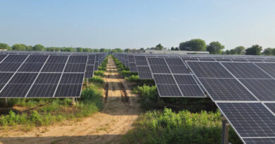 राजस्थान में सौर उत्पादन को बढ़ावा, 4 हजार मेगावाट के स्तर पर पहुंची पीएम-कुसुम परियोजनाएं  