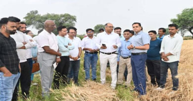 इलेक्ट्रिक रीपर मशीन से गेहूं कटाई हुई आसान, सिर्फ 10 रुपये के खर्च में एक एकड़ फसल की कटाई संभव  