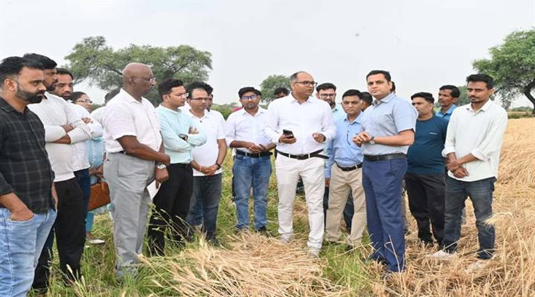 इलेक्ट्रिक रीपर मशीन से गेहूं कटाई हुई आसान, सिर्फ 10 रुपये के खर्च में एक एकड़ फसल की कटाई संभव