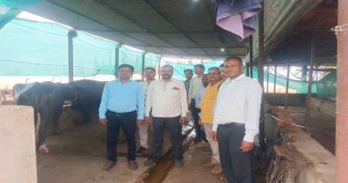 कटनी: बीएसडब्ल्यू एवं एमएसडब्ल्यू के छात्र पहुंचे प्रगतिशील किसान के खेत, आधुनिक खेती देख हुए प्रेरित कटनी: बीएसडब्ल्यू एवं एमएसडब्ल्यू के छात्र पहुंचे प्रगतिशील किसान के खेत, आधुनिक खेती देख हुए प्रेरित