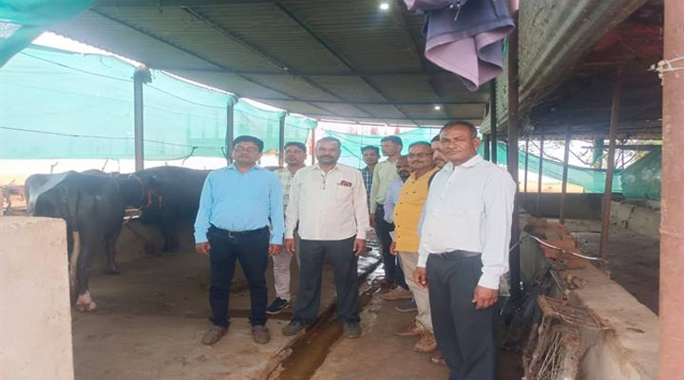 कटनी: बीएसडब्ल्यू एवं एमएसडब्ल्यू के छात्र पहुंचे प्रगतिशील किसान के खेत, आधुनिक खेती देख हुए प्रेरित