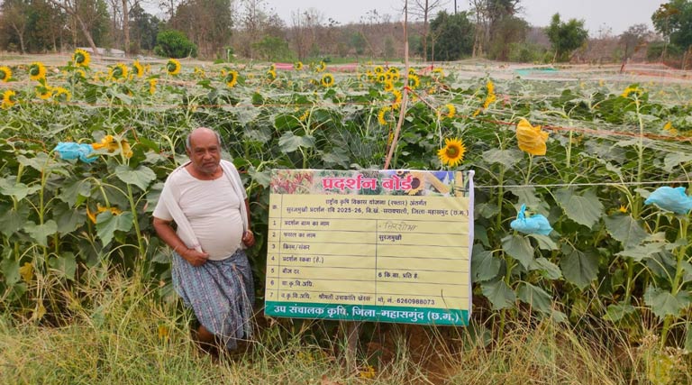 सूरजमुखी की खेती ने बदली किसान गौतम की किस्मत, महज 1.5 एकड़ में की 82 हजार की तगड़ी कमाई  