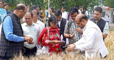 आईसीएआर जलवायु-अनुकूल गेहूं और जौ की किस्मों पर कर रहा अनुसंधान, किसानों की आय और सुरक्षा होगी मजबूत  