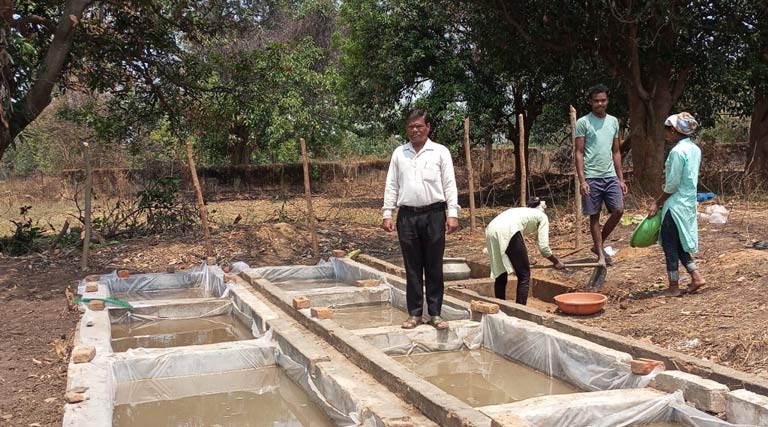 छत्तीसगढ़: शासकीय फार्म में नील-हरित शैवाल उत्पादन शुरू, किसानों को मिलेगा सस्ता जैव उर्वरक; बढ़ेगी धान पैदावार