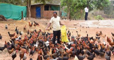 रायपुर: मछली और पशुपालन से किसान ने बदली किस्मत, सालाना 6 लाख रुपये की कमाई कर बने आत्मनिर्भर  