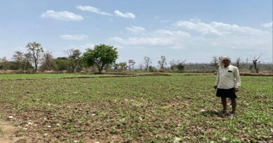 मध्यप्रदेश के किसान ने किया कमाल! बंजर जमीन में की कोदो-कुटकी की खेती, ₹50 हजार की हुई तगड़ी कमाई