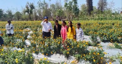 सब्जी और फूलों की खेती से बदली टीकमगढ़ के किसान की किस्मत, आय में हुई शानदार बढ़ोतरी