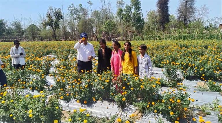 सब्जी और फूलों की खेती से बदली टीकमगढ़ के किसान की किस्मत, आय में हुई शानदार बढ़ोतरी