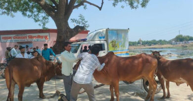 ‘क्षीर धारा ग्राम’ योजना: खरगोन जिले के 242 गांवों में लगेंगे पशु जागरूकता शिविर, सुधरेगा पशु स्वास्थ्य  