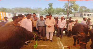 मुरैना: आदिवासी हितग्राहियों को बड़ी सौगात, 18 किसानों को उन्नत नस्ल की भैंस मिली  