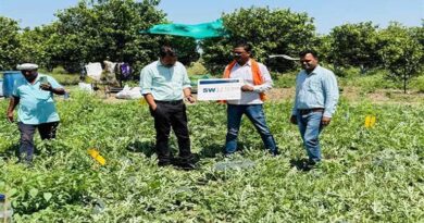 मध्यप्रदेश: तरबूज की किस्म SW-2210 IMP उगाकर मालामाल हुआ किसान, सिर्फ 2.5 एकड़ में कमाया 5 लाख का शानदार मुनाफा  