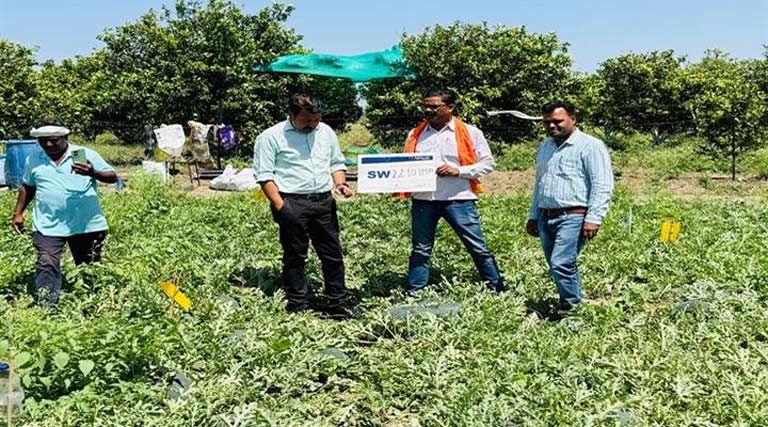 मध्यप्रदेश: तरबूज की किस्म SW-2210 IMP उगाकर मालामाल हुआ किसान, सिर्फ 2.5 एकड़ में कमाया 5 लाख का शानदार मुनाफा  