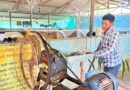 किसान ललित की सफलता: 6 गायों से शुरू किया सफर, आज बना 25 पशुओं का बड़ा डेयरी फार्म और कर रहे लाखों की कमाई