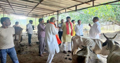 नरसिंहपुर में राज्यमंत्री लखन पटेल ने क्षीर धारा अभियान का लिया जायजा, गोशालाओं को आत्मनिर्भर बनाने के निर्देश  