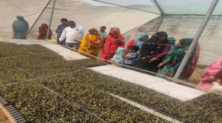 टीकमगढ़ में दो दिवसीय कृषक सेमिनार और किसान मेला,  कृषकों को उद्यानिकी फसलों से आय बढ़ाने की मिली जानकारी