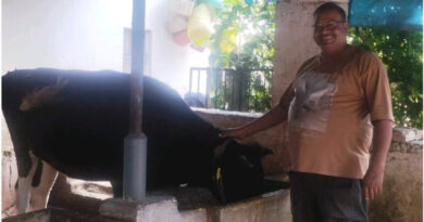 रायपुर: डेयरी व्यवसाय से बदली किसान टीकमचंद की किस्मत, अब 50 हजार रुपए महीना कमा रहे  