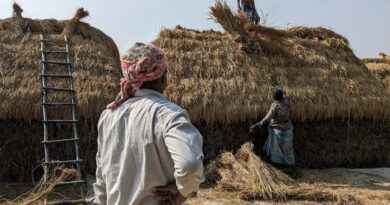 राजस्थान में ‘ग्राम–2026’ की तैयारी तेज, जयपुर-दिल्ली समेत 5 शहरों में होंगे रोडशो; निवेश और तकनीक पर रहेगा फोकस  