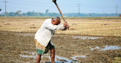 कृषि मंत्रालय का दावा: भारत आज 2016 की तुलना में अल नीनो के लिए बेहतर तैयार