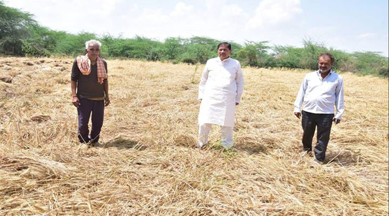 भिण्ड विधायक ने फसल क्षति का किया निरीक्षण