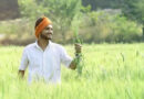 पीएम किसान सम्मान निधि: 23वीं किस्त से पहले तुरंत सुधारें ये गलतियां, नहीं तो रुक जाएगा पैसा  