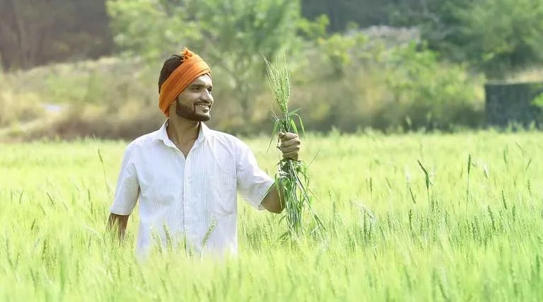 पीएम किसान सम्मान निधि: 23वीं किस्त से पहले तुरंत सुधारें ये गलतियां, नहीं तो रुक जाएगा पैसा  