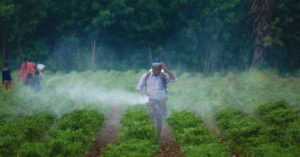 नकली कीटनाशक खेत, किसान और खाद्य सुरक्षा तीनों संकट में